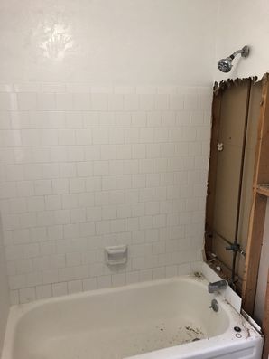 Bathtub to Walk in Shower Conversion in Houston, TX (2)