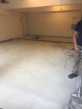 Before & After Complete Garage Painting in The Woodlands, TX