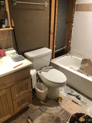 Bathroom Remodel in Houston, TX (2)